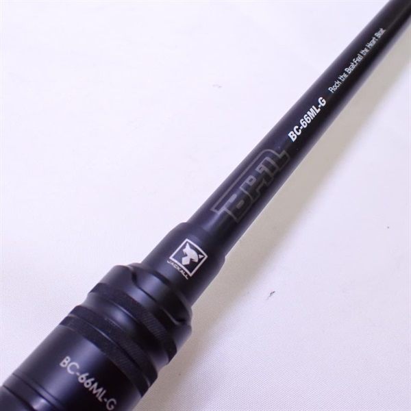 １７ＢＰＭＢＣ－６６ＭＬ－Ｇ